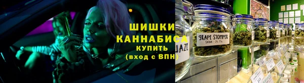 прущие грибы Арсеньев