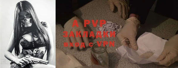 стафф Аркадак