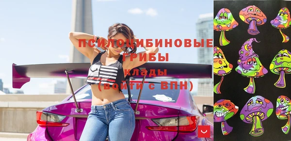 стафф Аркадак