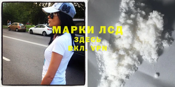 прущие грибы Арсеньев