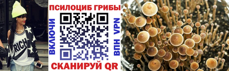 Галлюциногенные грибы ЛСД  продажа наркотиков  Тайшет 
