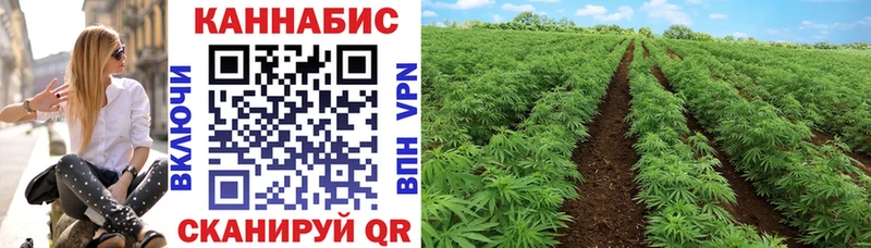 Бошки Шишки VHQ Тайшет